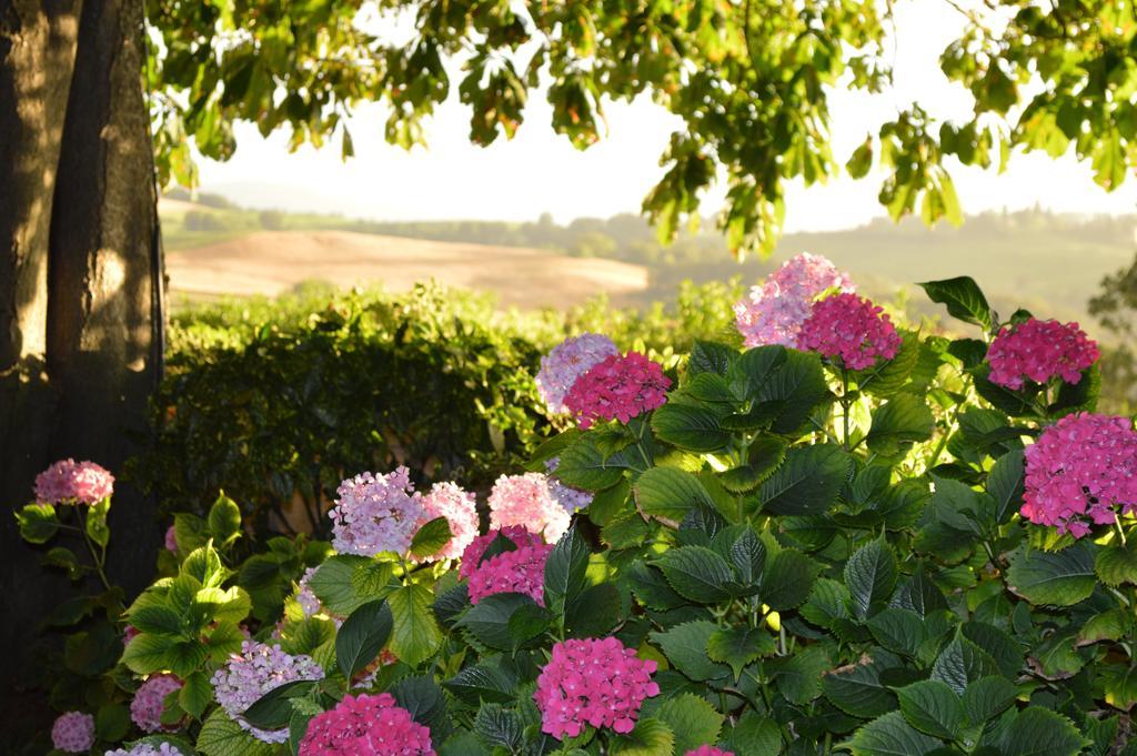 Regnano  Agriturismo Cavazzone מראה חיצוני תמונה